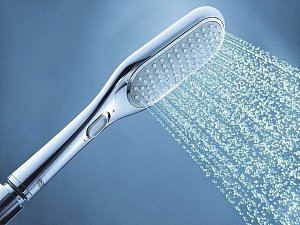 Душевая лейка Grohe Rainshower Eco 27274000 купить в интернет-магазине сантехники Sanbest