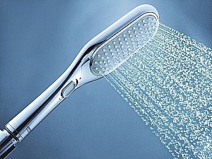 Душевая лейка Grohe Rainshower Eco 27274000 купить в интернет-магазине сантехники Sanbest