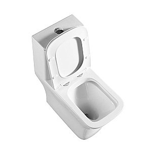 Унитаз-моноблок BelBagno NEON BB8617CPR-MN/SC белый, с крышкой микролифт, безободковый купить в интернет-магазине Sanbest