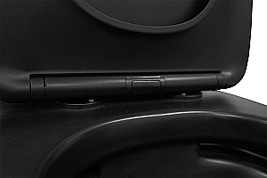 Унитаз напольный Azario Black Queen AZ-8380 черный матовый, безободковый, с бачком, с крышкой микролифт купить в интернет-магазине Sanbest