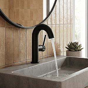 Смеситель для раковины Elghansa RADIANT XQ 1647181-Black черный матовый купить в интернет-магазине сантехники Sanbest