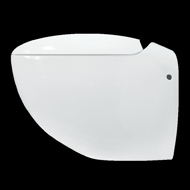 Унитаз Sanita luxe Ringo RNGSLWH0104R безободковый, с крышкой микролифт, белый купить в интернет-магазине Sanbest