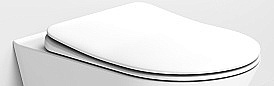 Крышка для унитаза Boheme Avva 976-MW белая матовая купить в интернет-магазине сантехники Sanbest