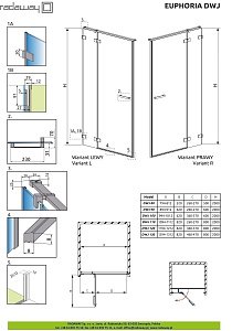 Душевая дверь Radaway Euphoria DWJ 100 купить в интернет-магазине Sanbest