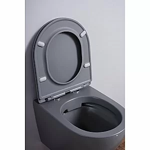 Унитаз подвесной Esbano AZALEA ESUPAZALGM безободковый, с крышкой микролифт, матовый серый купить в интернет-магазине Sanbest