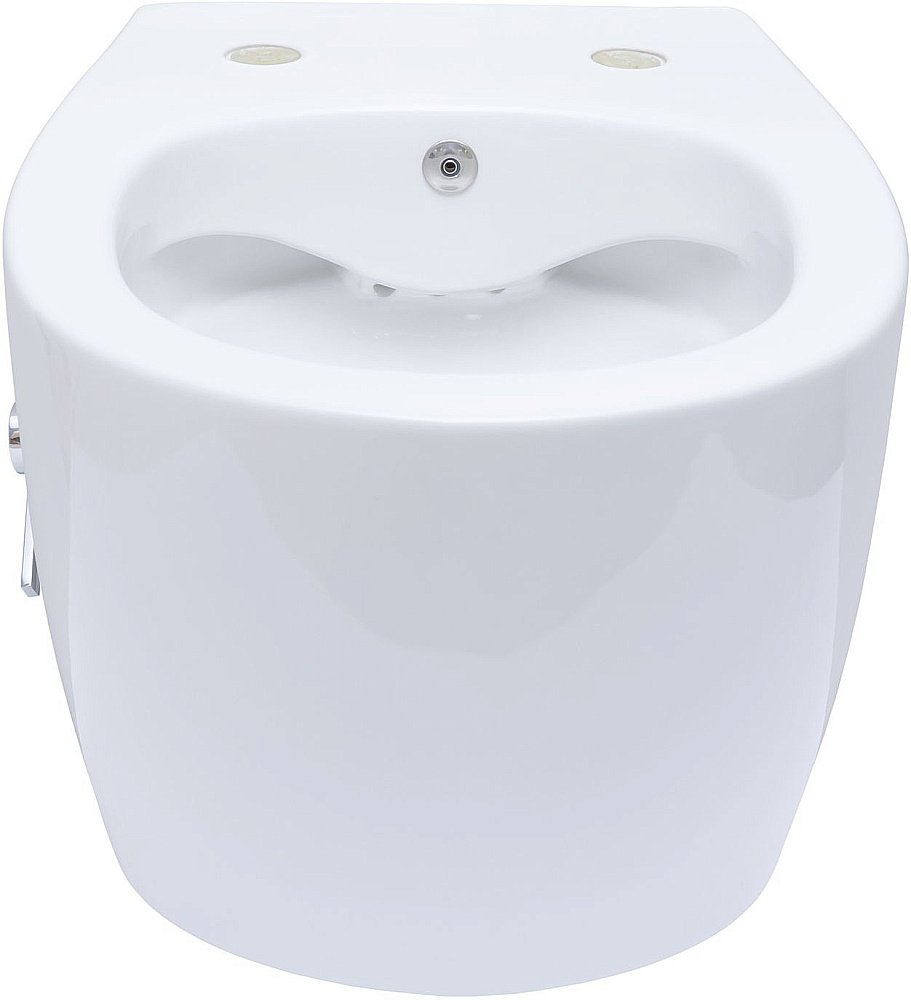 Унитаз Allen Brau Fantasy 4.11HC1.20 безободковый, с крышкой микролифт, белый купить в интернет-магазине Sanbest