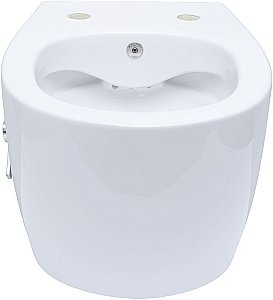 Унитаз Allen Brau Fantasy 4.11HC1.20 безободковый, с крышкой микролифт, белый купить в интернет-магазине Sanbest