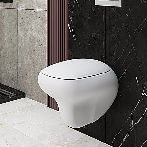 Унитаз подвесной Ambassador Diamond 123T20101R безободковый, белый матовый купить в интернет-магазине Sanbest