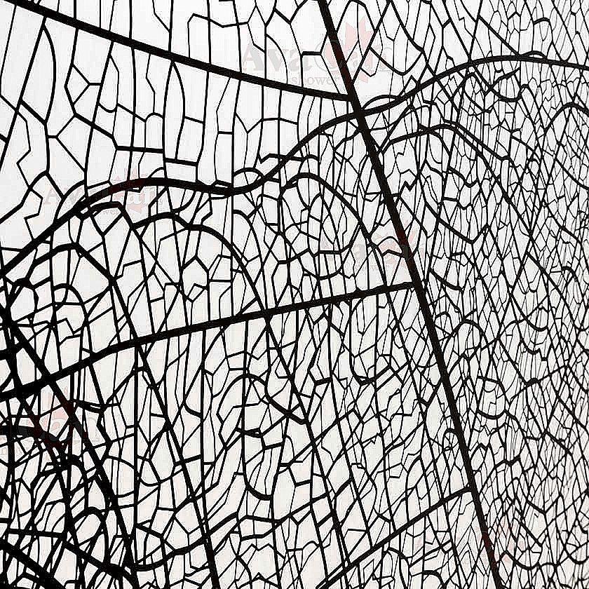 Душевое ограждение AvaCan MB110 профиль черный/стекло прозрачное с рисунком купить в интернет-магазине Sanbest