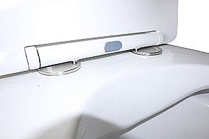 Унитаз моноблок Azario Morano AZ-1001 белый, безободковый, с крышкой микролифт купить в интернет-магазине Sanbest