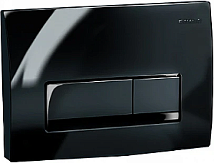 Кнопка для инсталляции Geberit Delta50 115.119.DW.1 черный глянец купить в интернет-магазине сантехники Sanbest