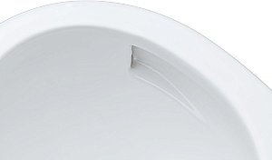 Унитаз подвесной Aquanet ZV-1 белый с крышкой микролифт, безободковый, слив-торнадо купить в интернет-магазине Sanbest