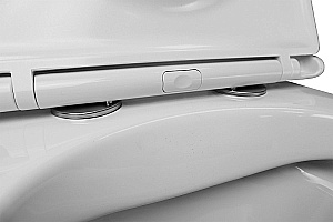 Унитаз подвесной Azario Pro PRO-0001 белый, безободковый, с крышкой микролифт купить в интернет-магазине Sanbest