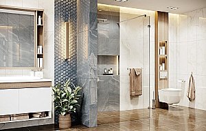 Душевое ограждение Ambassador Waik-in 110x200 15031107 купить в интернет-магазине Sanbest