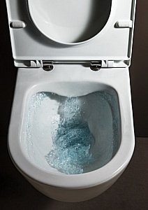 Унитаз приставной Laufen Pro 8.2295.6.000.000.1 купить в интернет-магазине Sanbest