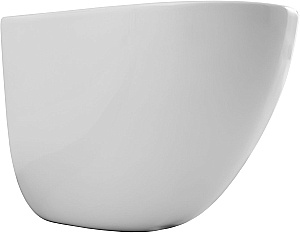 Подвесной унитаз Aquanet EcoVortex 348039 слив-торнадо, с крышкой микролифт, белый глянцевый купить в интернет-магазине Sanbest