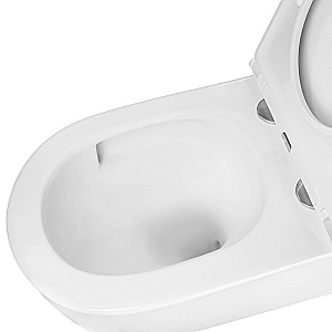 Унитаз подвесной Azario Nata AZ-5102T-WHT белый, безободковый, с крышкой микролифт, слив торнадо купить в интернет-магазине Sanbest