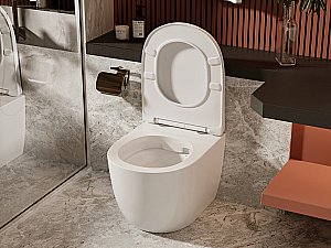 Унитаз ABBER Bequem AC1111 с крышкой микролифт, безободковый купить в интернет-магазине Sanbest