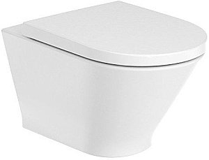 Унитаз подвесной Roca The Gap 893105000 безободковый, с инсталляцией, с крышкой микролифт купить в интернет-магазине Sanbest