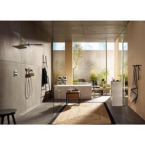 Душевая лейка Hansgrohe Raindance Select S 120 3jet 26530000 купить в интернет-магазине сантехники Sanbest