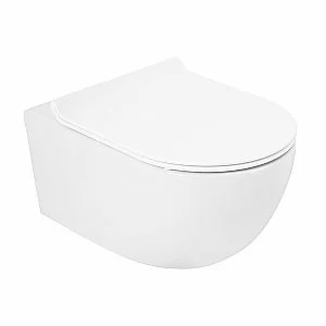 Подвесной унитаз Cezares Molveno CZR-2468-TH-R безободковый купить в интернет-магазине Sanbest