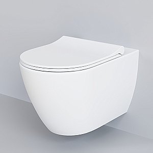 Унитаз подвесной Ambassador Queen 113T20101R матовый купить в интернет-магазине Sanbest