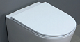 Сиденье для унитаза AZZURRA Forma FOR1800/F белый/хром