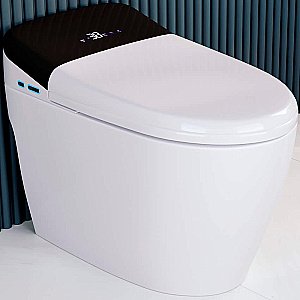 Унитаз приставной RGW SW-31 63420131-01 белый, безободковый, с крышкой микролифт, слив торнадо купить в интернет-магазине Sanbest