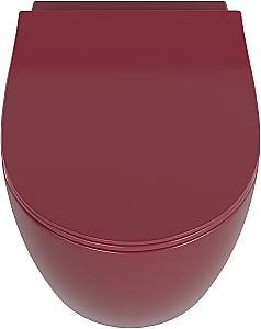 Унитаз подвесной Allen Brau Fantasy 3 Vortex 4.11035.BD бордовый матовый, с крышкой микролифт, слив торнадо купить в интернет-магазине Sanbest