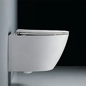 Унитаз подвесной RGW SW-50 80420250-01 белый, безободковый, с крышкой микролифт, слив-торнадо купить в интернет-магазине Sanbest