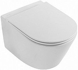 Унитаз подвесной Jacob Delafon RODIN+ EDY102-00 безободковый купить в интернет-магазине Sanbest