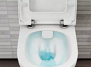 Унитаз подвесной Vitra Zentrum Rime-Ex 5795B003-0075 безободковый, белый купить в интернет-магазине Sanbest