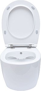 Унитаз Allen Brau Fantasy 4.11HC1.20 безободковый, с крышкой микролифт, белый купить в интернет-магазине Sanbest