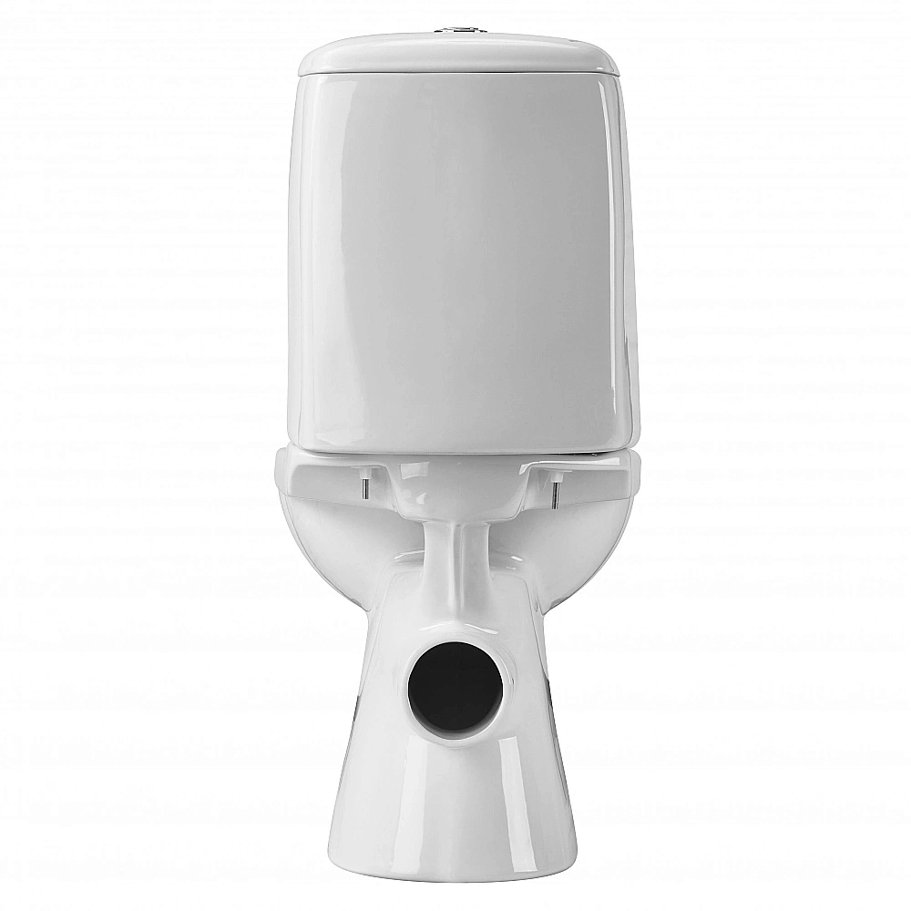 Унитаз-компакт Santek Цезарь 1WH302415 с бачком, с крышкой микролифт купить в интернет-магазине Sanbest