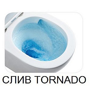 Унитаз напольный WeltWasser WW Salzbach 011 MT-BL 10000012213 черный матовый, безободковый, с бачком, с крышкой микролифт, слив торнадо купить в интернет-магазине Sanbest