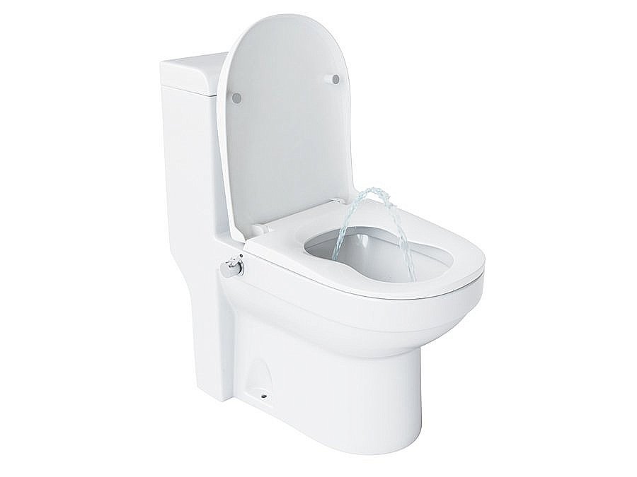 Унитаз-моноблок с функцией биде Laguraty 20980AWC с крышкой микролифт купить в интернет-магазине Sanbest