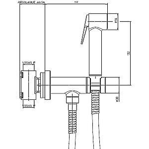 Гигиенический душ Bossini Paloma Brass E37005B.094 никель купить в интернет-магазине сантехники Sanbest