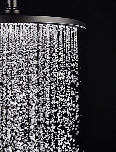 Верхний душ Kaiser SH-293 золото брашированное купить в интернет-магазине сантехники Sanbest