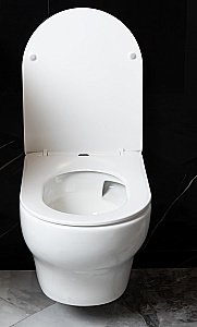 Унитаз Boheme FIORE 978-SET-W безободковый, с крышкой микролифт, смыв торнадо, белый глянцевый купить в интернет-магазине Sanbest