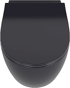 Унитаз подвесной Allen Brau Fantasy 3 Vortex 4.11035.AN антрацит матовый, с крышкой микролифт, слив торнадо купить в интернет-магазине Sanbest