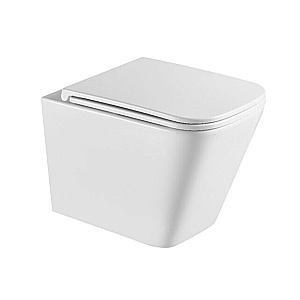 Унитаз подвесной Caprigo STYLE S-1293 безободковый, смыв торнадо, с крышкой микролифт, белый купить в интернет-магазине Sanbest