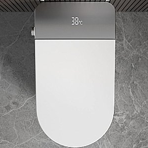 Унитаз напольный Ceruttispa ESTER Smart CT10617 с дистанционным управлением, безободковый, слив-торнадо, белый купить в интернет-магазине Sanbest