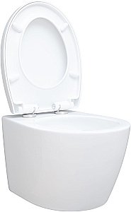 Унитаз подвесной Aquanet ZV-1 белый с крышкой микролифт, безободковый, слив-торнадо купить в интернет-магазине Sanbest