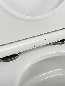 Унитаз подвесной Cezares STYLUS-TOR 2.0 CZR-546-TH-TOR/SC белый, безободковый, с крышкой микролифт, слив торнадо купить в интернет-магазине Sanbest