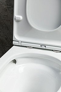 Унитаз-компакт Allen Brau Priority 3 4.31006.20 белый, безободковый, с крышкой микролифт купить в интернет-магазине Sanbest