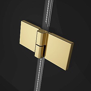 Душевая дверь Radaway Essenza Pro Gold DWJ 120 стекло прозрачное/профиль золото купить в интернет-магазине Sanbest
