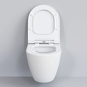 Унитаз подвесной Ambassador Queen 113T20001R безободковый, белый купить в интернет-магазине Sanbest