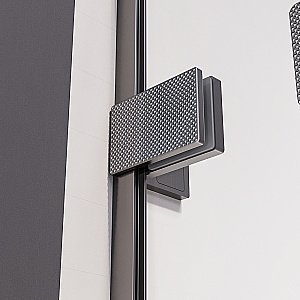 Душевая дверь Veconi Premium Alassio GR AL-140-00-GR-C4 140 стекло прозрачное осветленное/профиль брашированный графит купить в интернет-магазине Sanbest