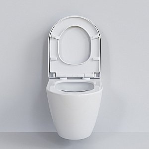 Унитаз Ambassador Queen 113T20001R-112T20001S белый, безободковый, с крышкой микролифт купить в интернет-магазине Sanbest