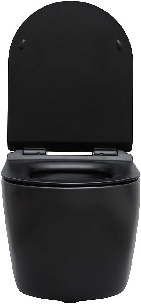 Унитаз подвесной Aquanet Rimless Cetus-BW BL-102N-WHT с крышкой микролифт, безободковый купить в интернет-магазине Sanbest